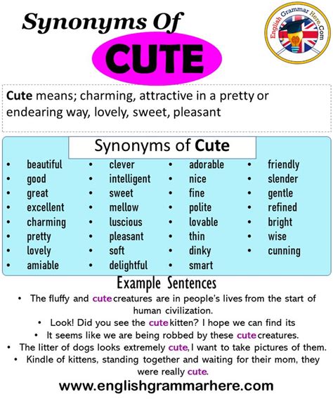 synonym for cute and adorable